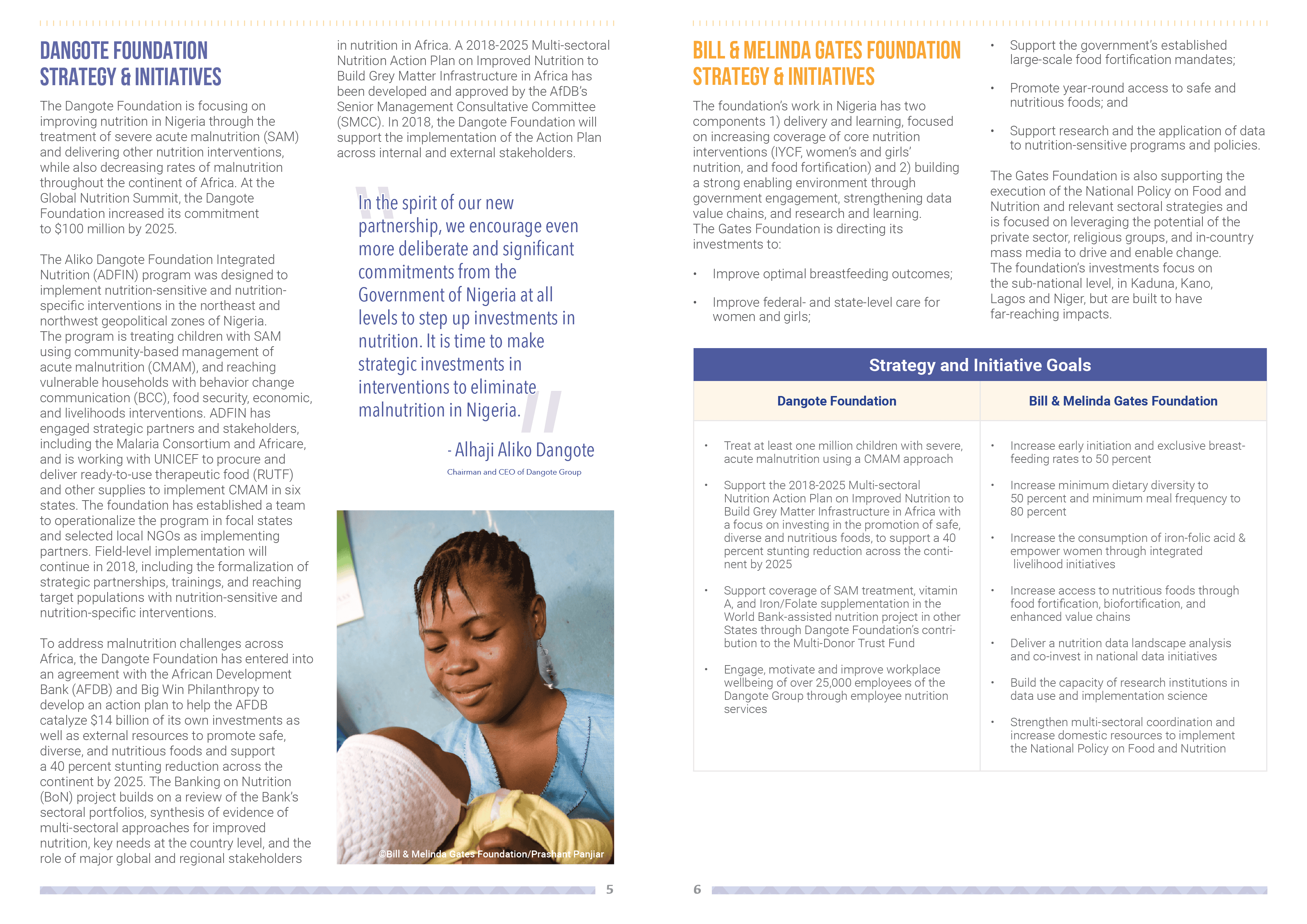 Dangote infographic page