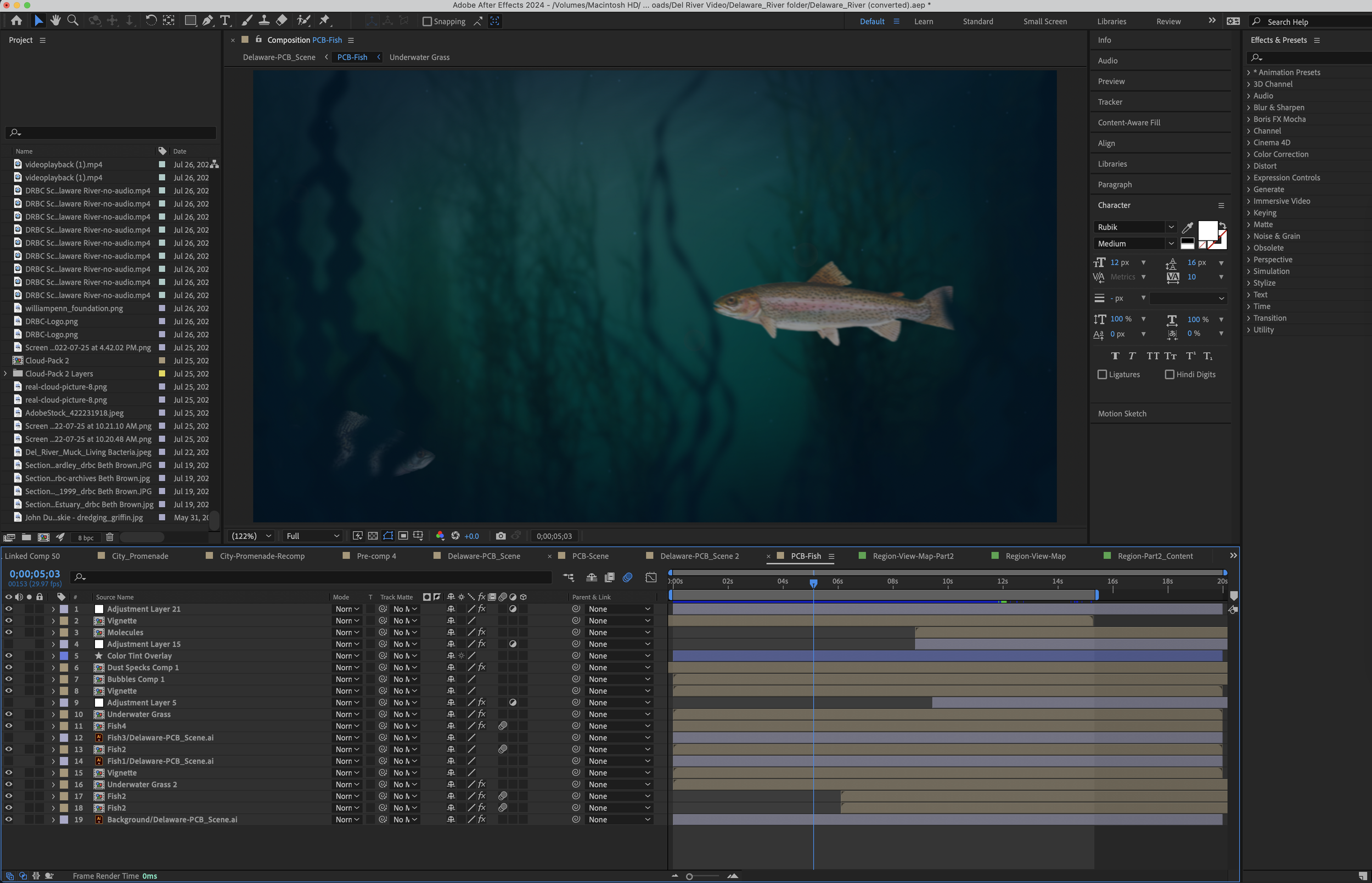 After Effects composition showing underwater fish scene
