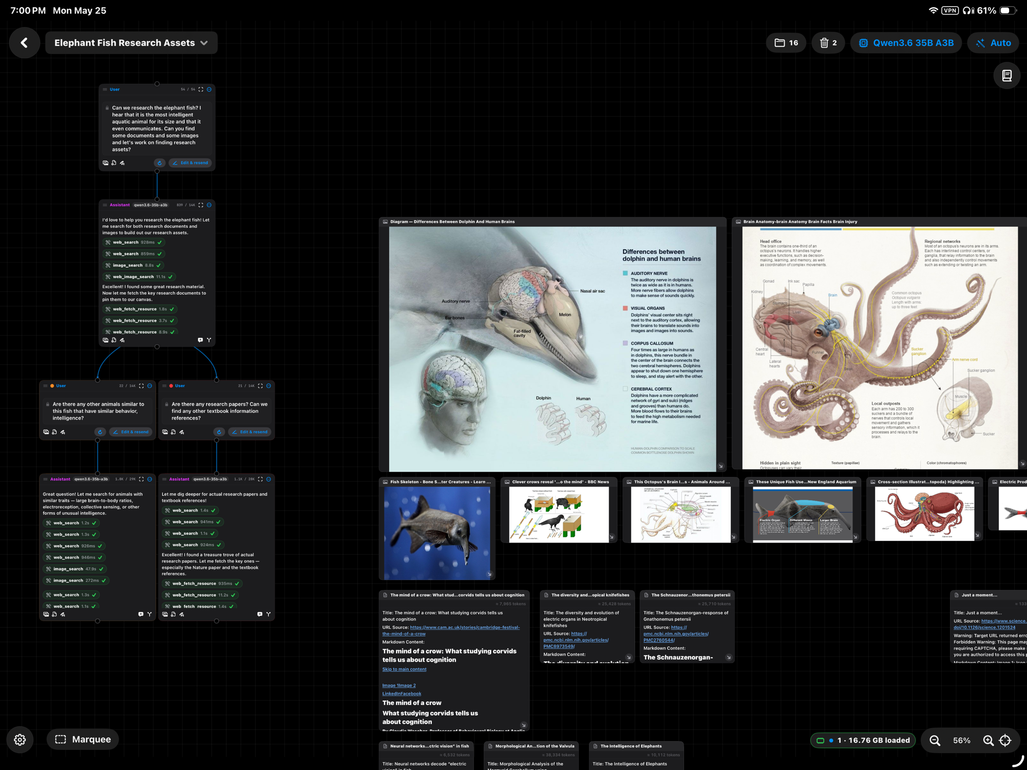 Mid-research view: web_search, image_search, and web_fetch_resource calls running across two parallel assistant branches, with fetched diagrams and source papers laid out as artifacts to the right